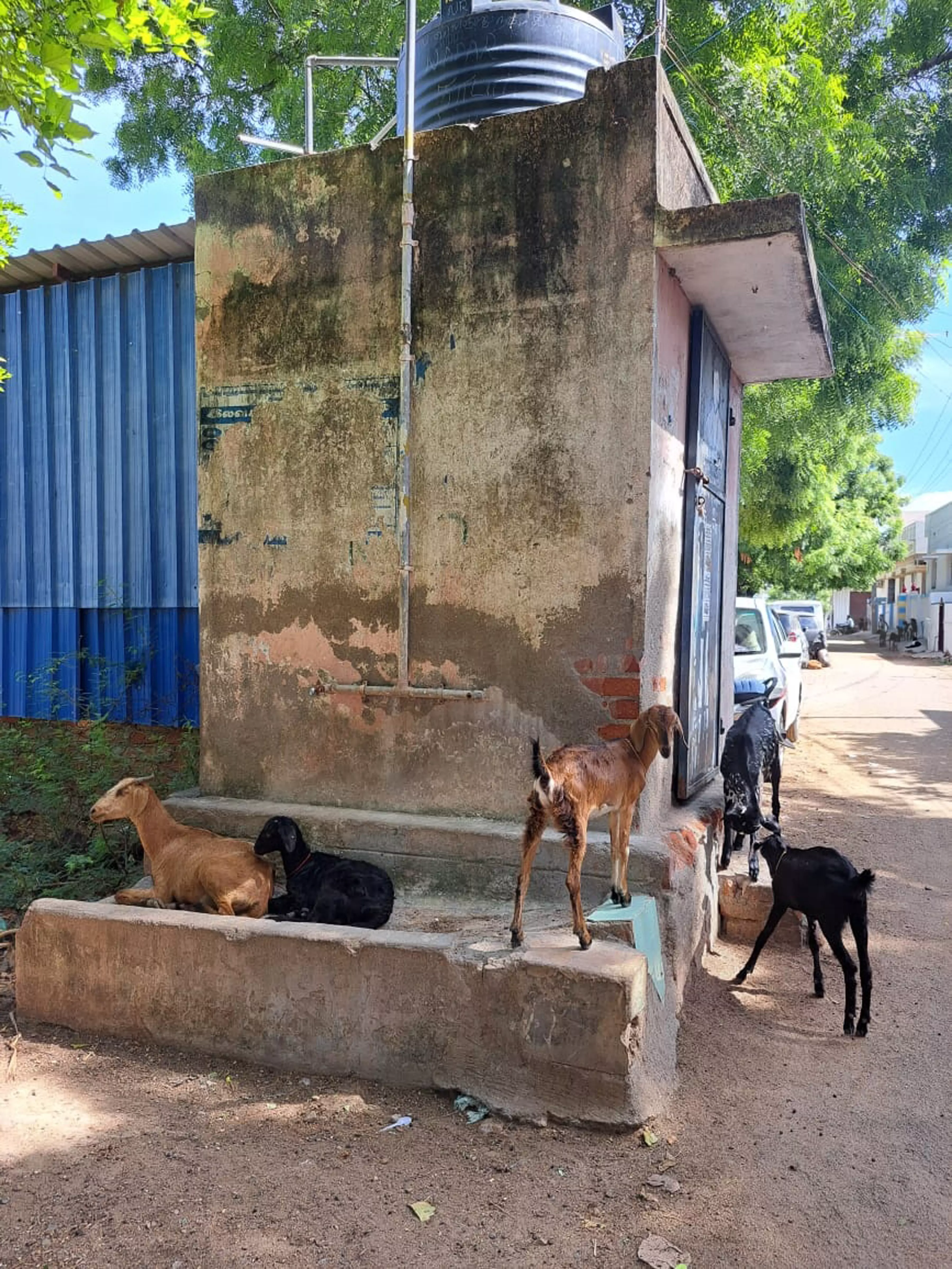 காட்சிப்பொருளான நீர்த்தேக்க தொட்டி