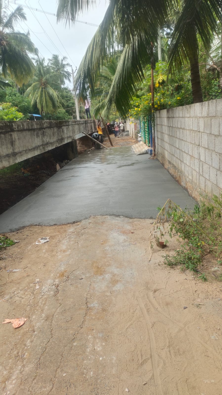 நடவடிக்கை தேவை