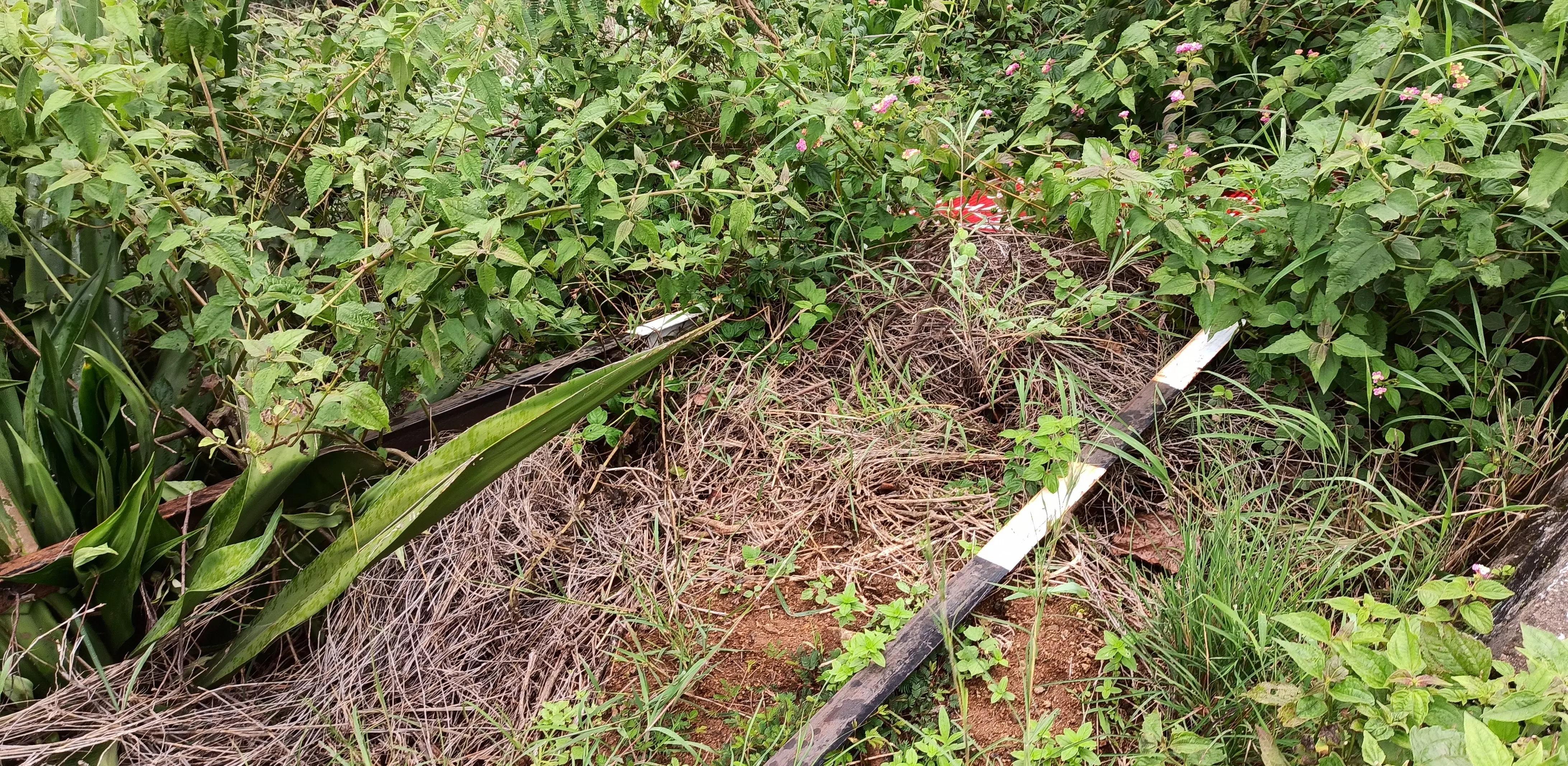 புதருக்குள் கிடக்கும் வழிகாட்டி பலகைகள்