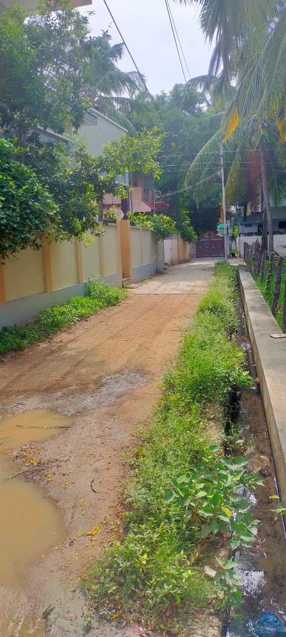 நோய் பரவும் அபாயம்