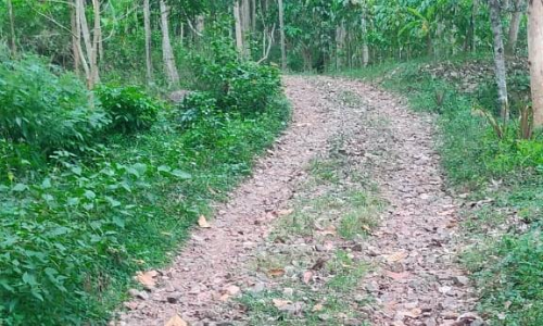 சேதமடைந்த சாலை