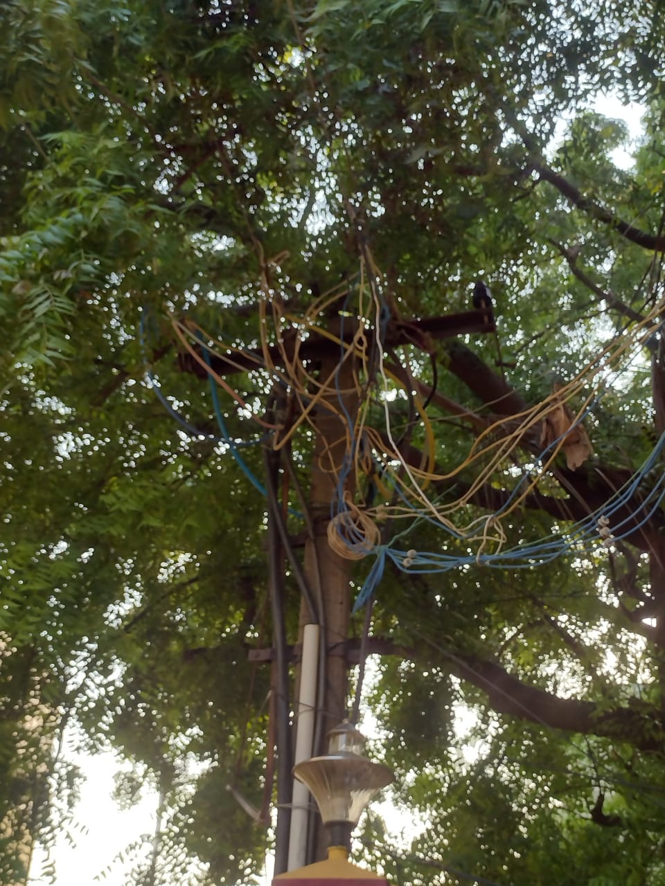 ஆபத்தான மின்கம்பம்