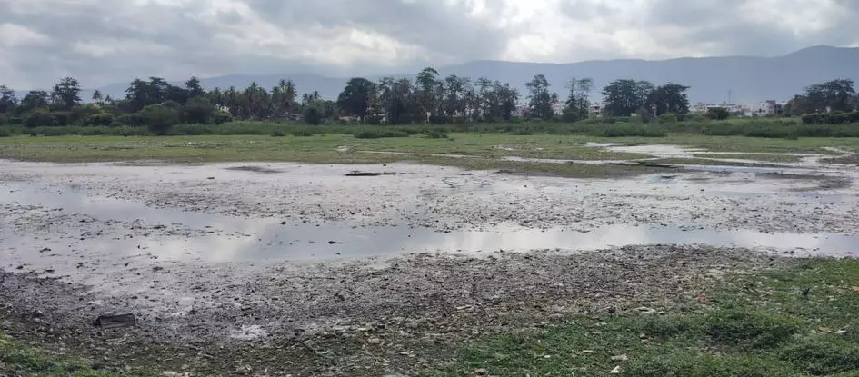 குளத்தில் கொட்டப்படும் குப்பைகள்