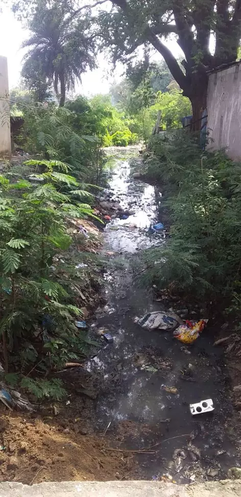 கால்வாயை தூர்வாருவார்களா? கால்வாயை தூர்வாருவார்களா?