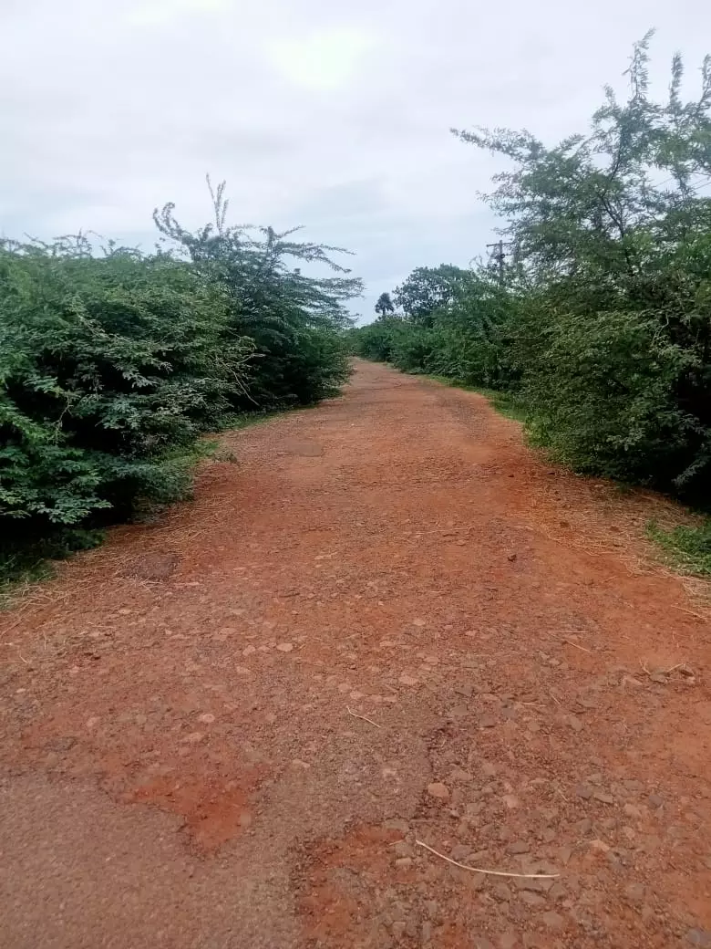 போக்குவரத்திற்கு லாயக்கற்ற சாலை போக்குவரத்திற்கு லாயக்கற்ற சாலை