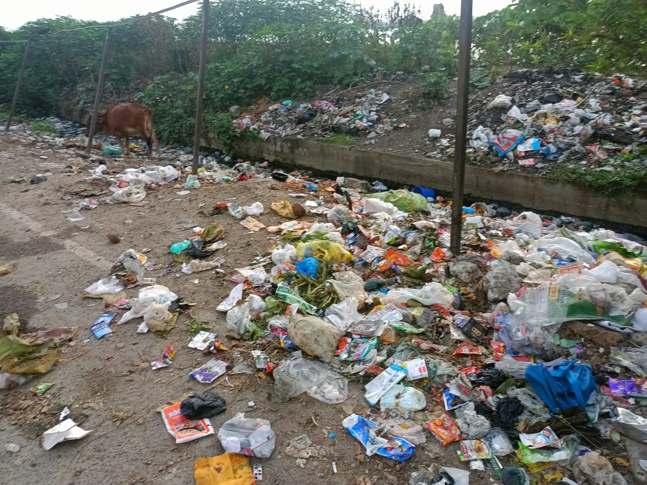 குப்பைகள் அகற்றப்படுமா?