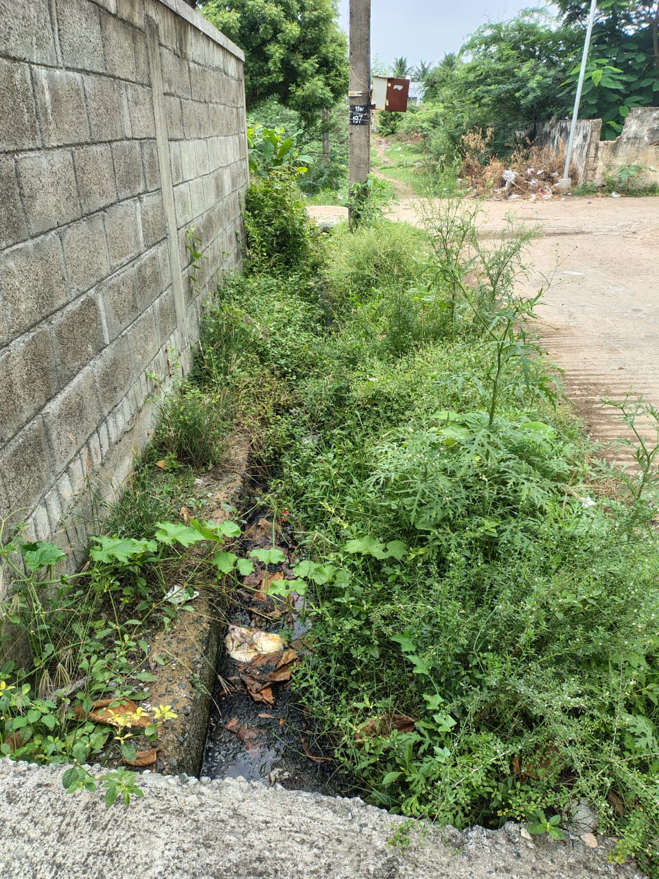 கால்வாய் சுத்தம் செய்யப்படுமா?