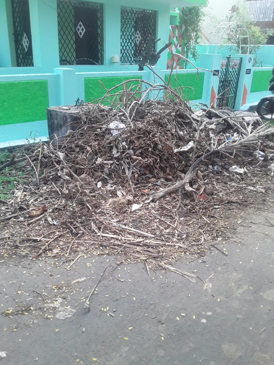 குப்பைகள் அகற்றப்படுமா?