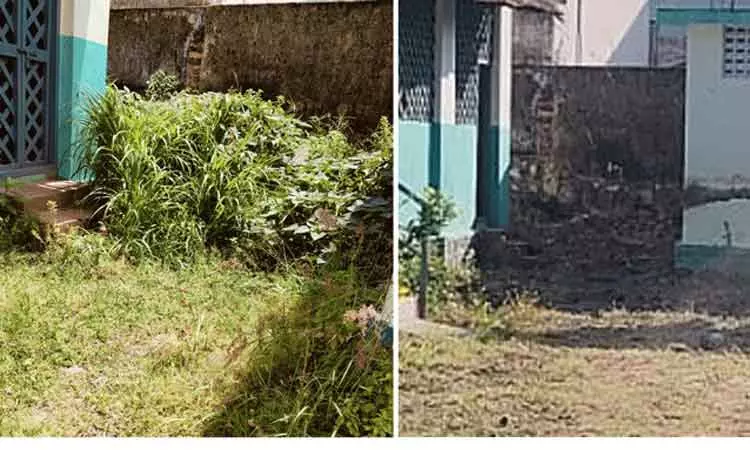 புதா்கள் அகற்றப்பட்டது