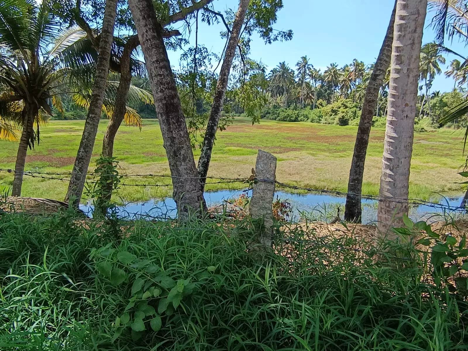 தூர்வார வேண்டும்