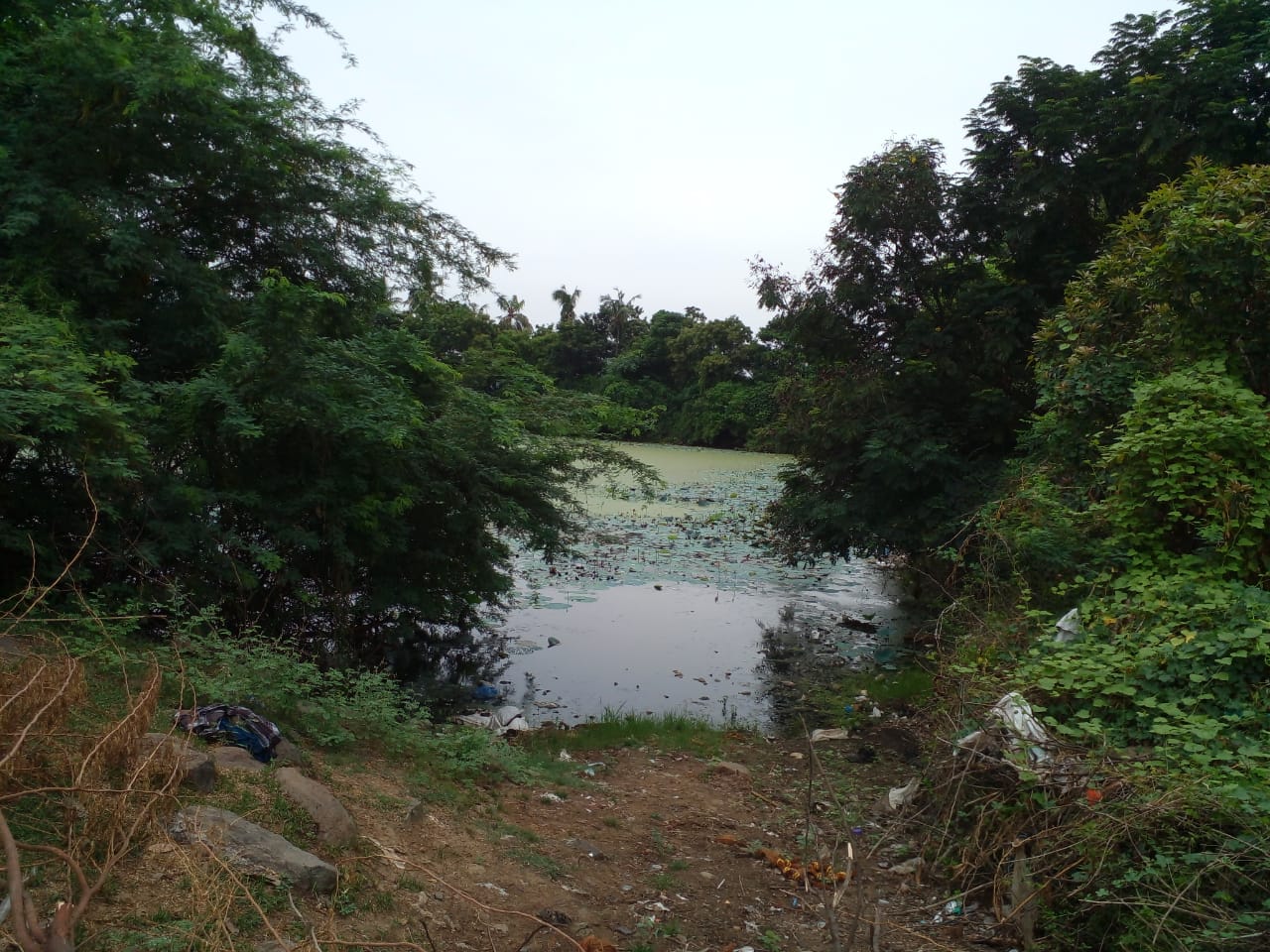 குளம் தூர்வாரப்படுமா?