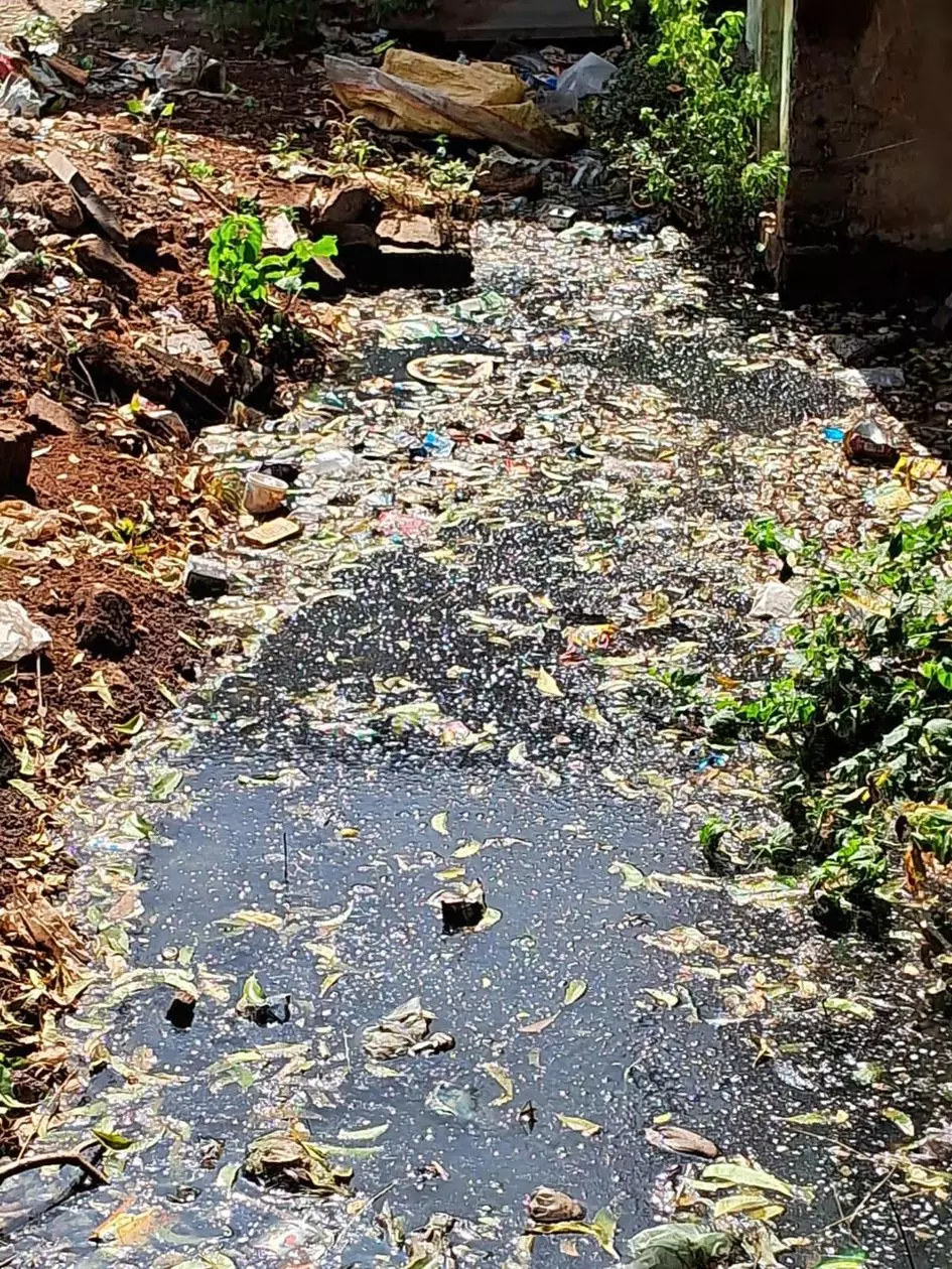 கால்வாயில் தேங்கும் கழிவுநீர் கால்வாயில் தேங்கும் கழிவுநீர்