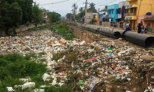 கால்வாயில் தேங்கிய குப்பைகள் கால்வாயில் தேங்கிய குப்பைகள்