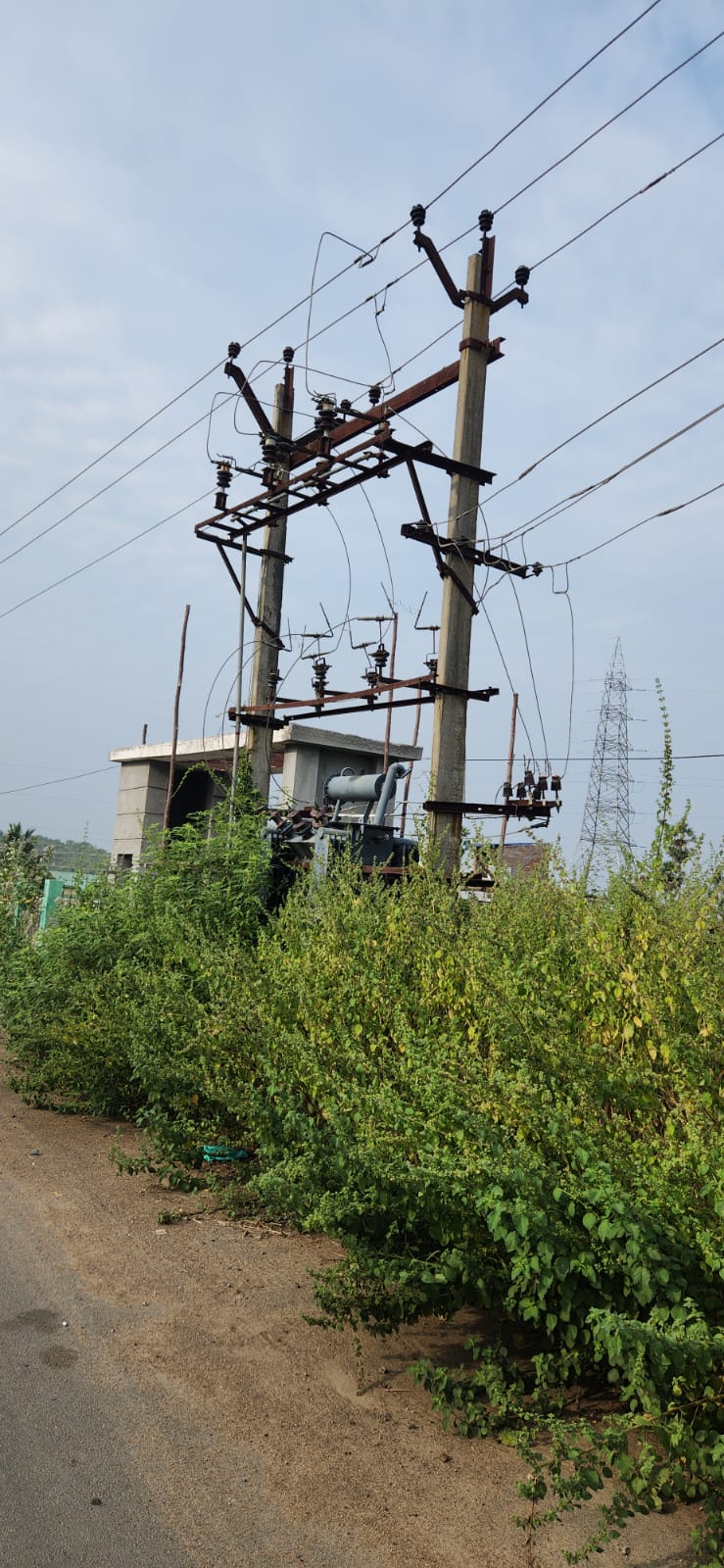 செடிகள் நடுவில் மின்மாற்றி