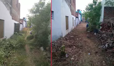 ‘தினத்தந்தி’க்கு பாராட்டு