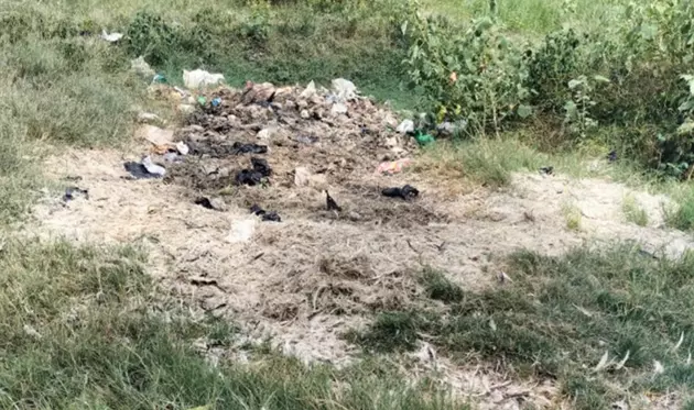 ஏரி பகுதியில் வீசப்படும் கோழிக்கழிவுகள் ஏரி பகுதியில் வீசப்படும் கோழிக்கழிவுகள்