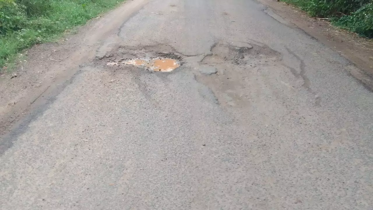 சாலை சீரமைக்கப்படுமா?