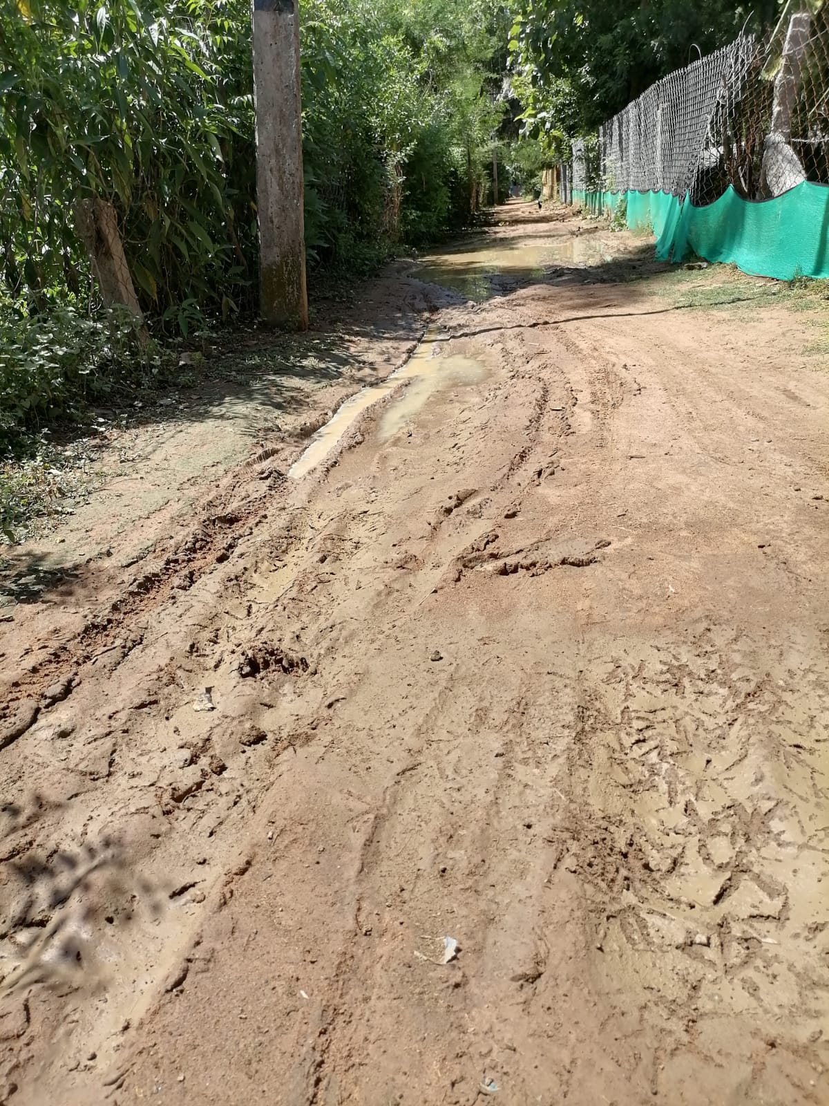 சாலை வசதி வேண்டும்