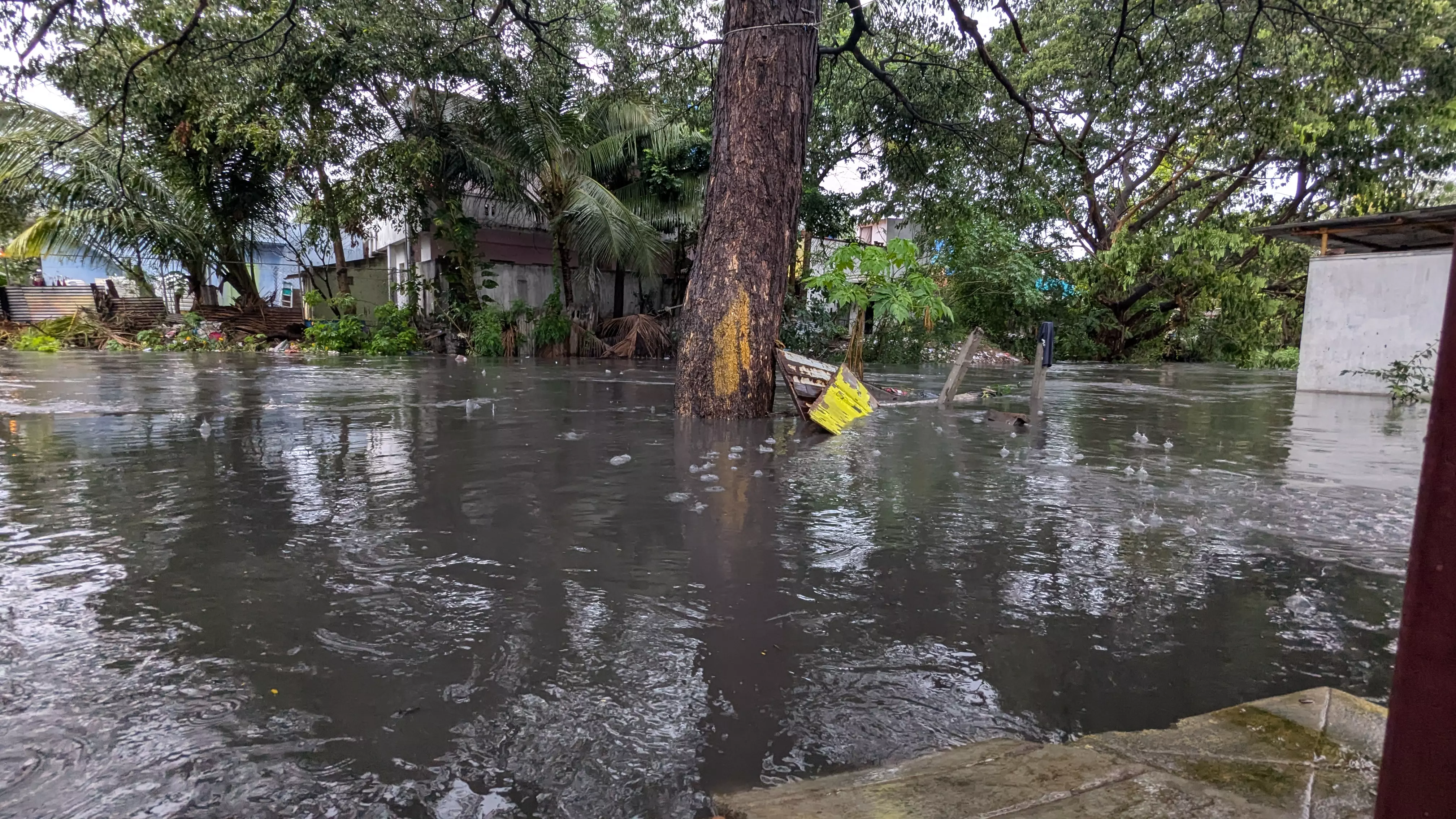 சுகாதார சீர்கேடு