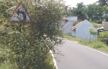 எச்சரிக்கை பலகையை மறைத்த செடிகள் எச்சரிக்கை பலகையை மறைத்த செடிகள்