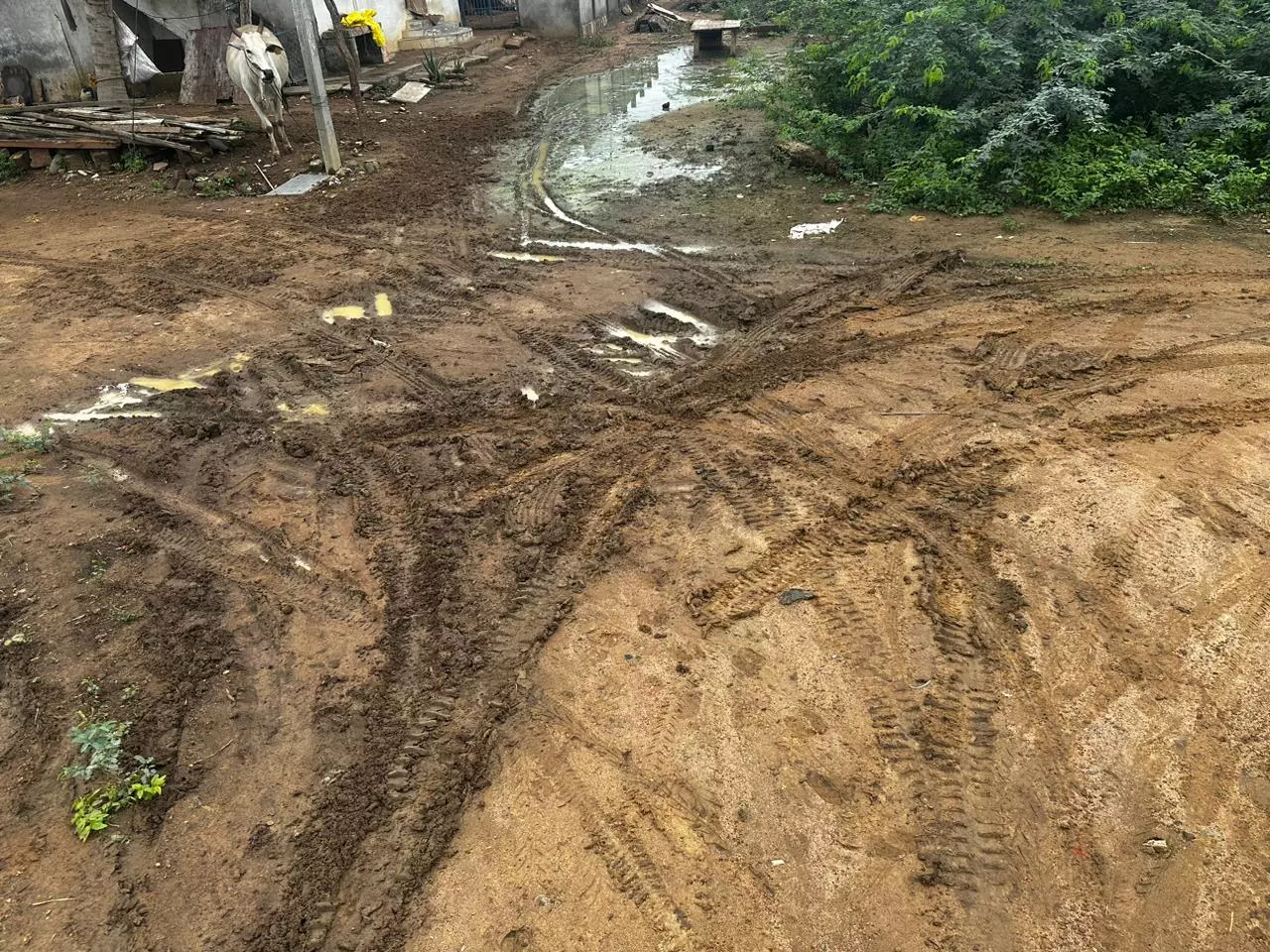 சாலை வசதி வேண்டும்