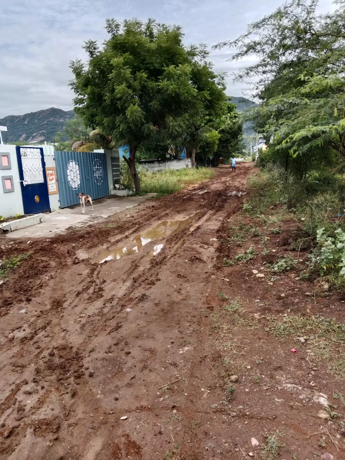 சேறும், சகதியுமான சாலை