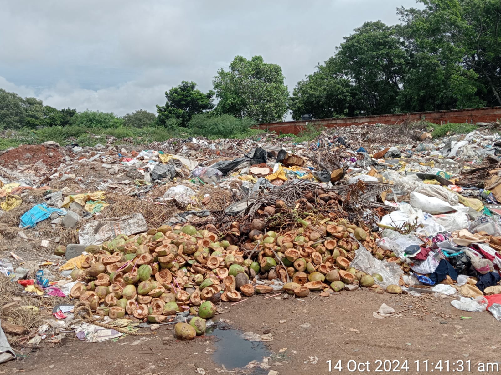 குவிந்து கிடக்கும் குப்பை