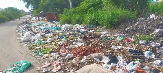 குப்பைகளால் சுகாதார சீர்கேடு