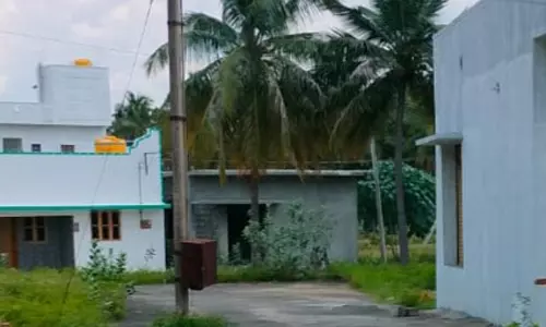 பயனற்ற மின் கம்பம் பயனற்ற மின் கம்பம்