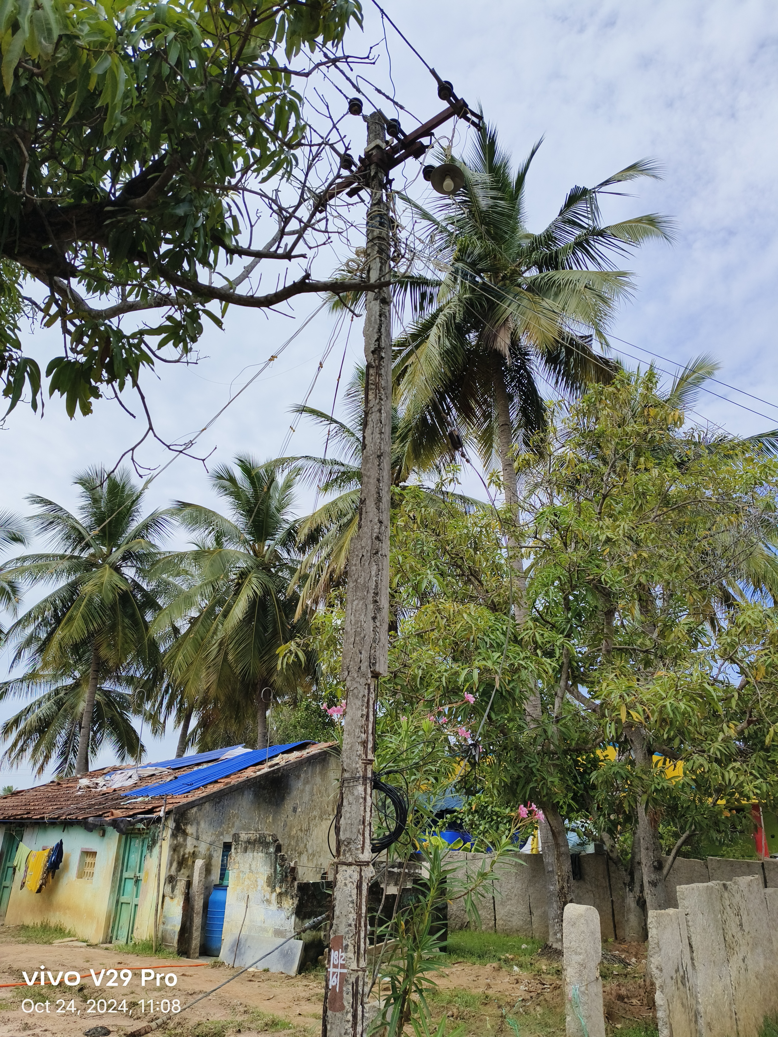 எலும்பு கூடான மின்கம்பம் எலும்பு கூடான மின்கம்பம்