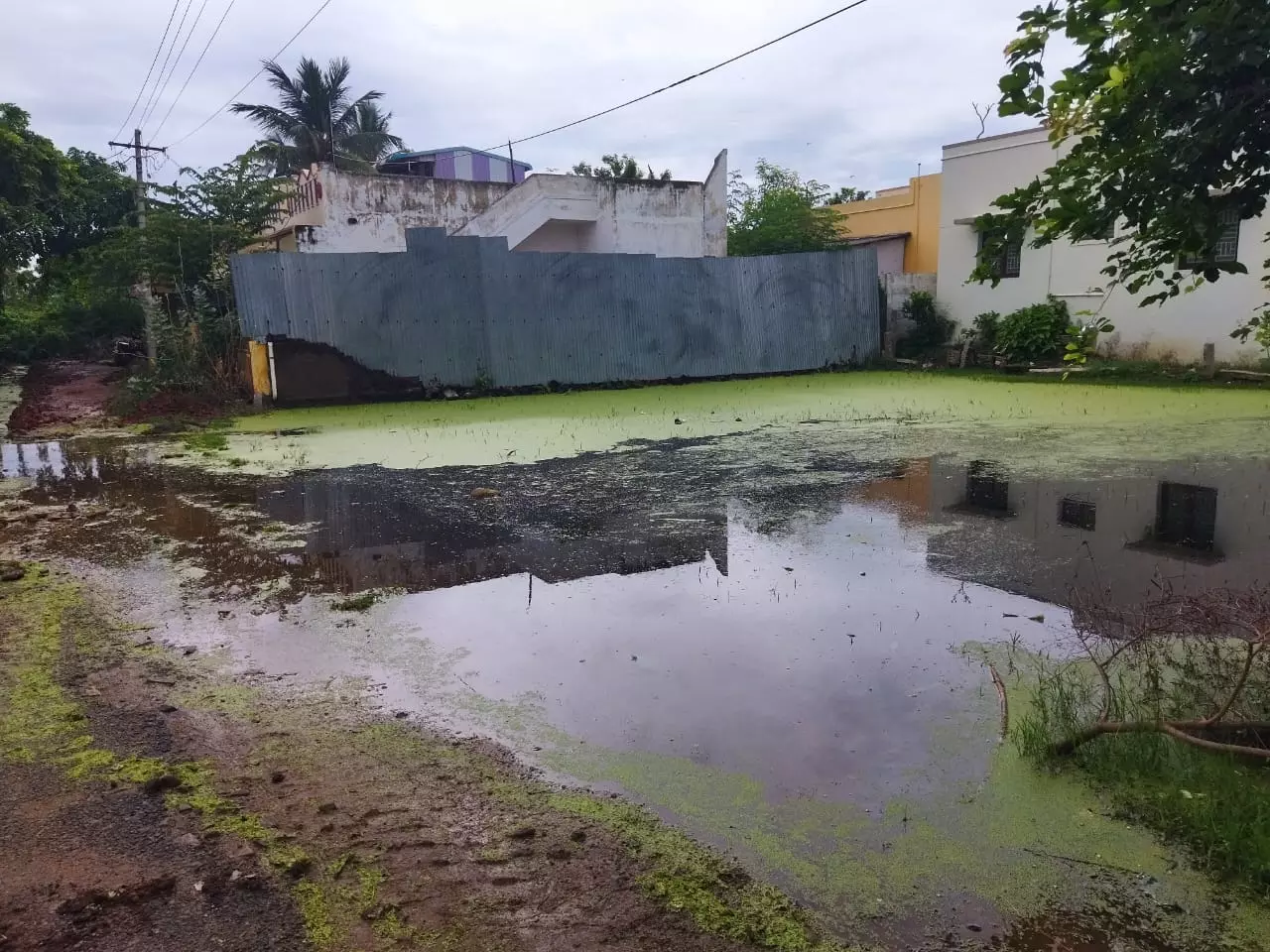 வடிகால் வசதி வேண்டும் வடிகால் வசதி வேண்டும்