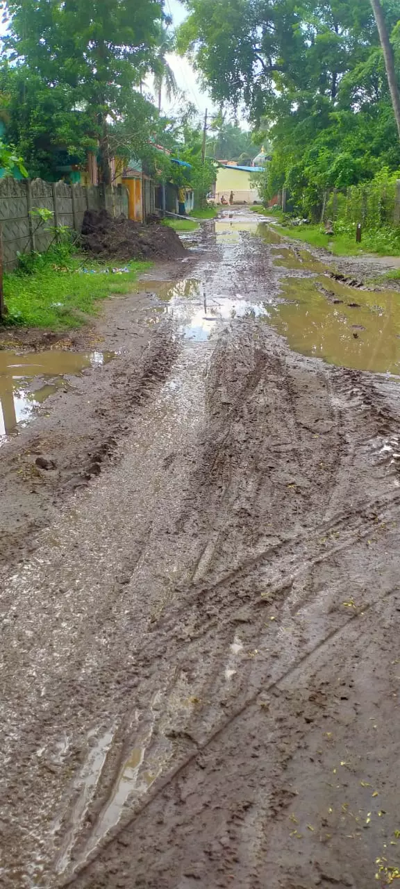 சேறும்,சகதியுமான சாலை