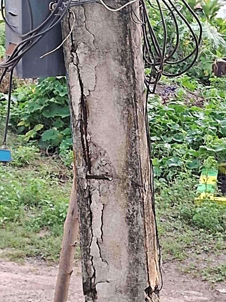 ஆபத்தான மின்கம்பம்