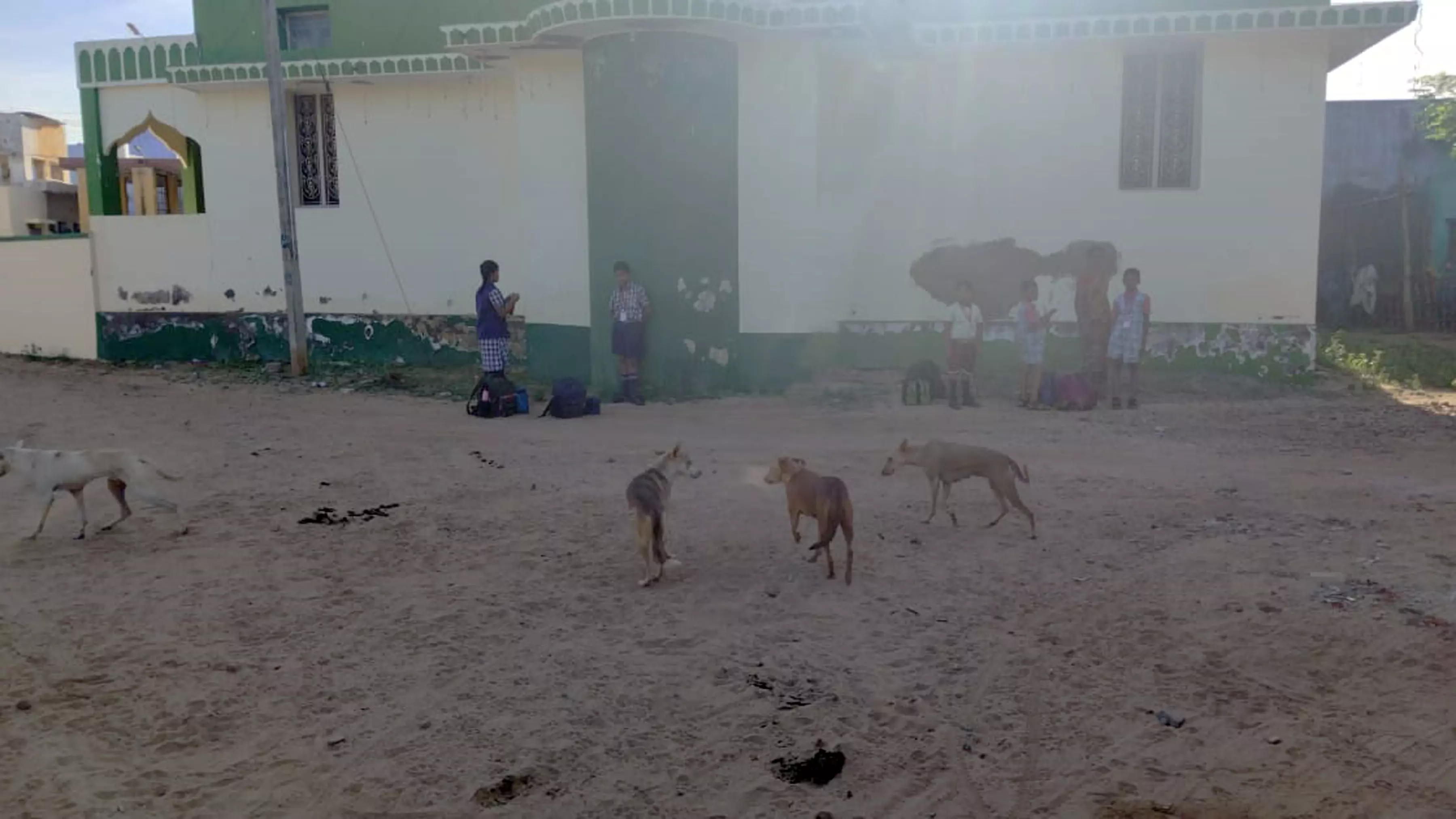 தெருநாய்கள் தொல்லை தெருநாய்கள் தொல்லை