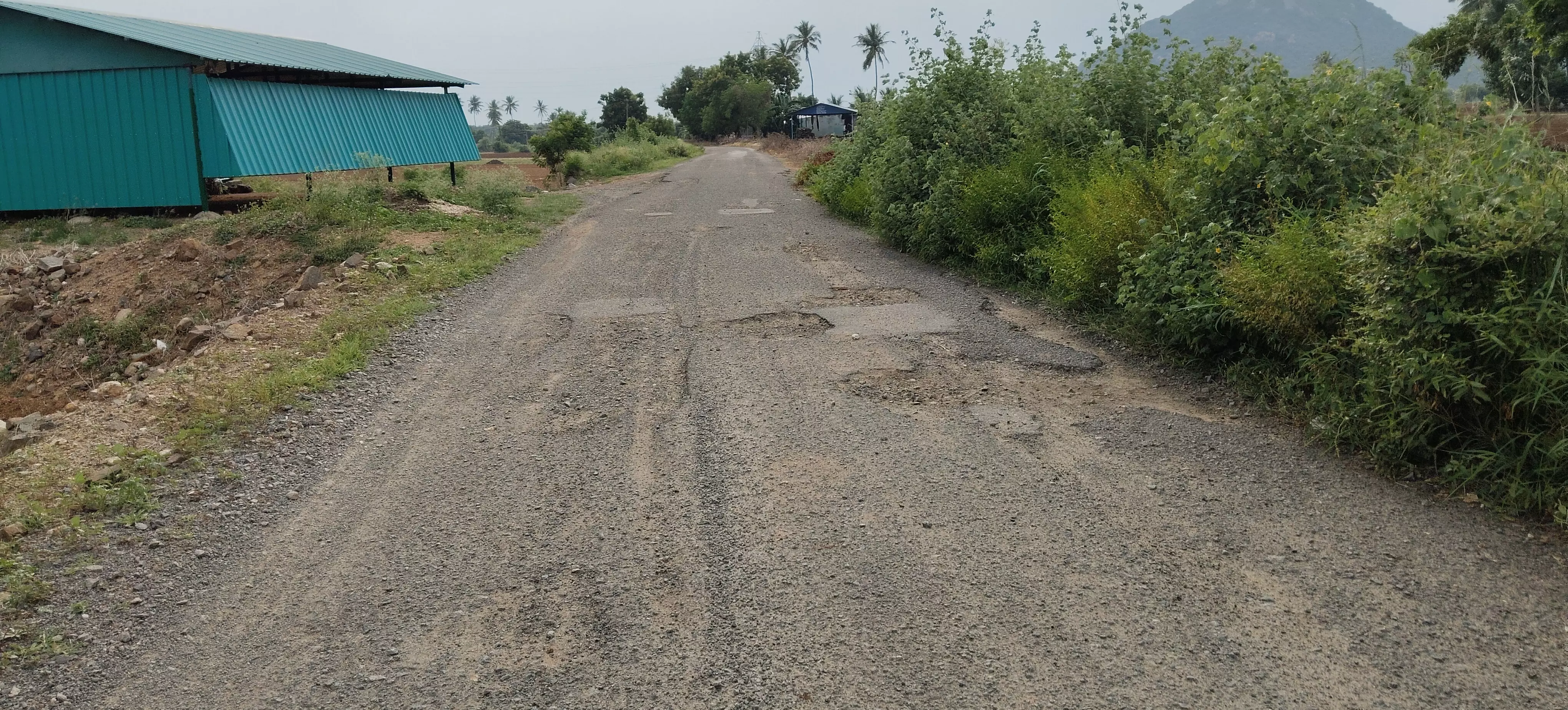 குண்டும், குழியுமான தார் சாலை குண்டும், குழியுமான தார் சாலை