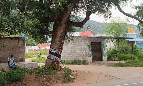 பழுதான புளியமரத்தை அகற்ற வேண்டும்