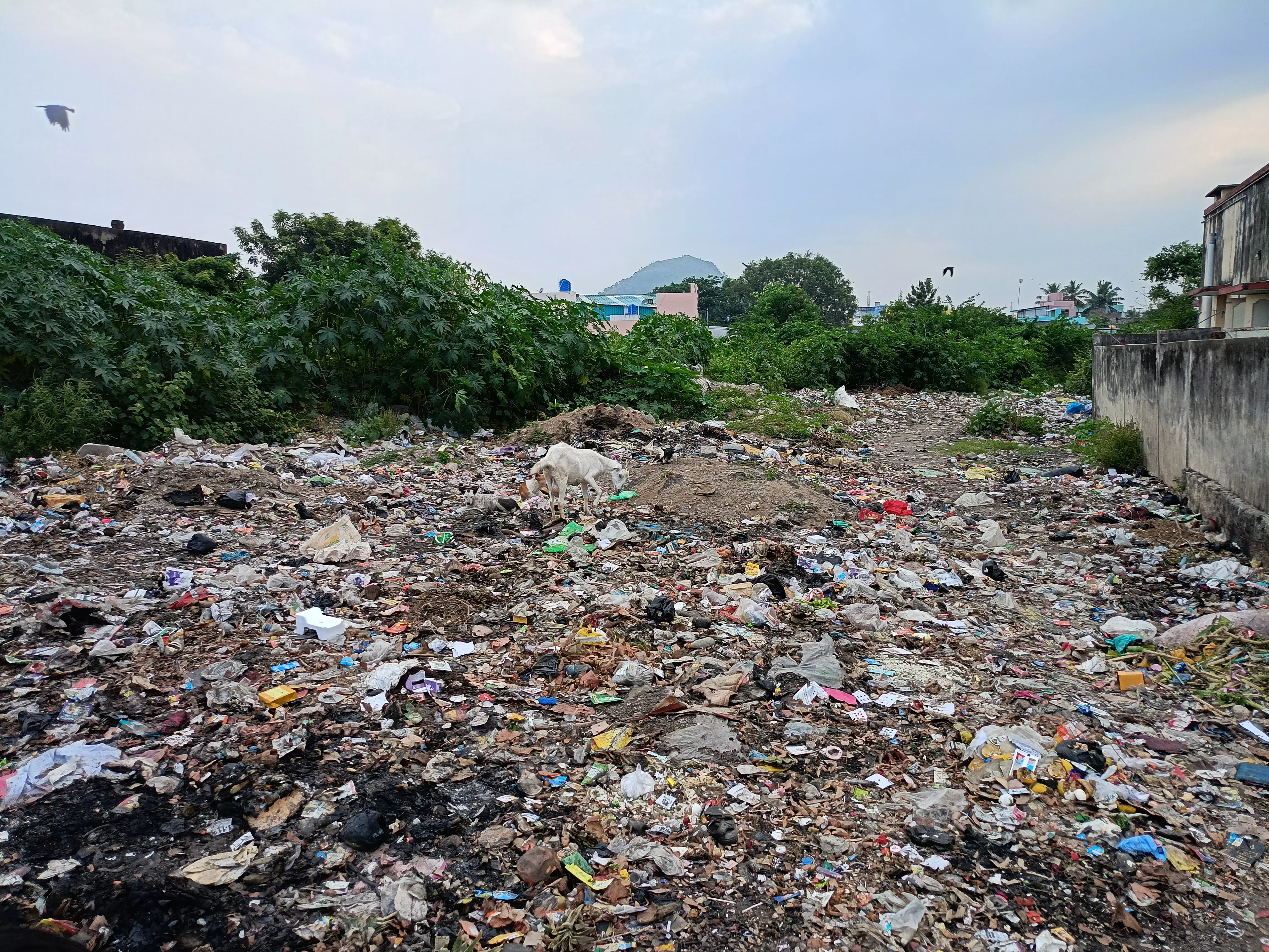 குடியிருப்புக்கு அருகில் குப்பைக்கொட்டும் அவலம்