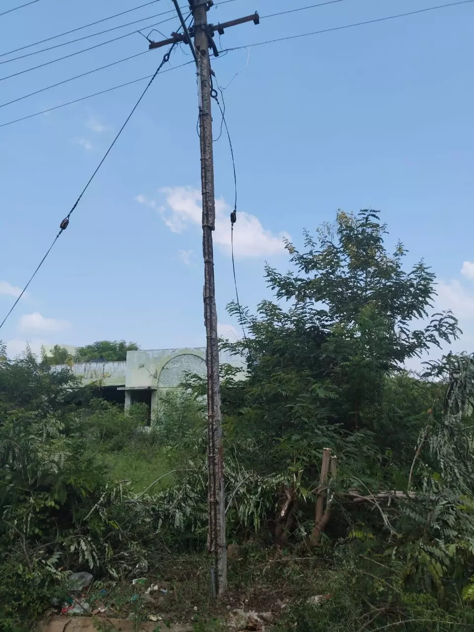 எலும்பு கூடான மின்கம்பம்