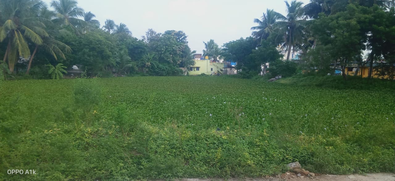 குளம் தூர்வார வேண்டும்