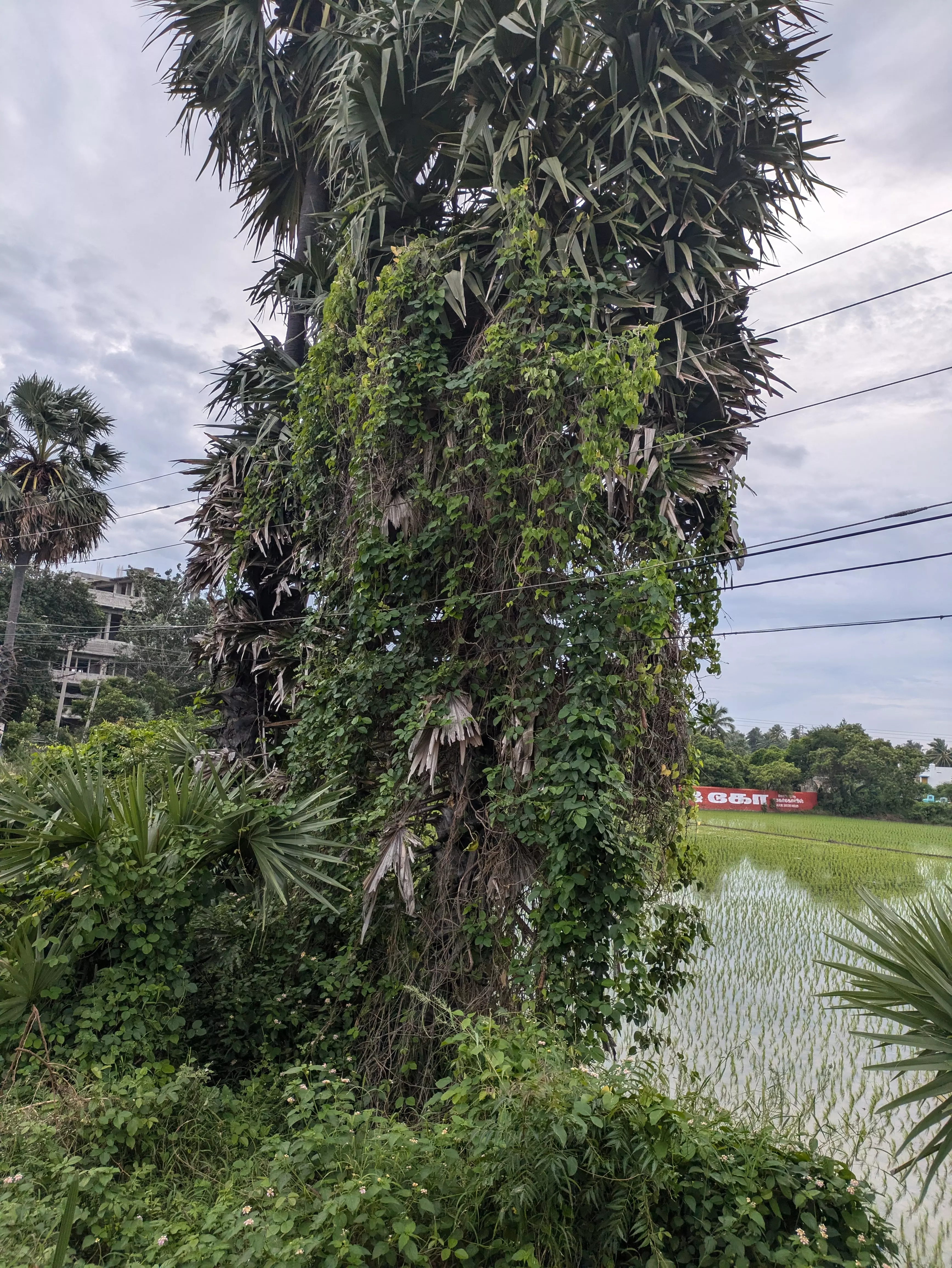 நடவடிக்கை எடுக்க வேண்டும்