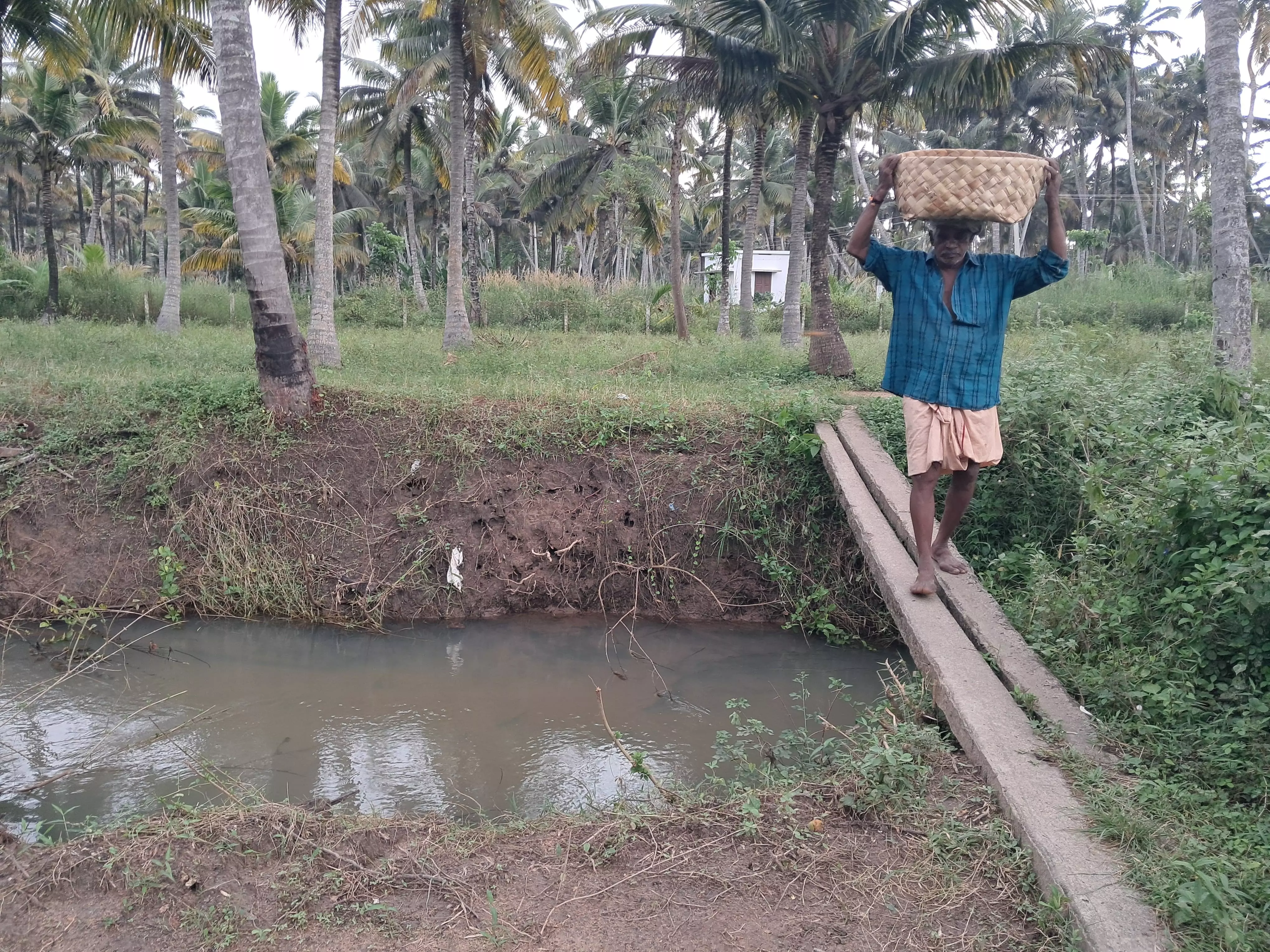 பாலம் அமைக்கப்படுமா?