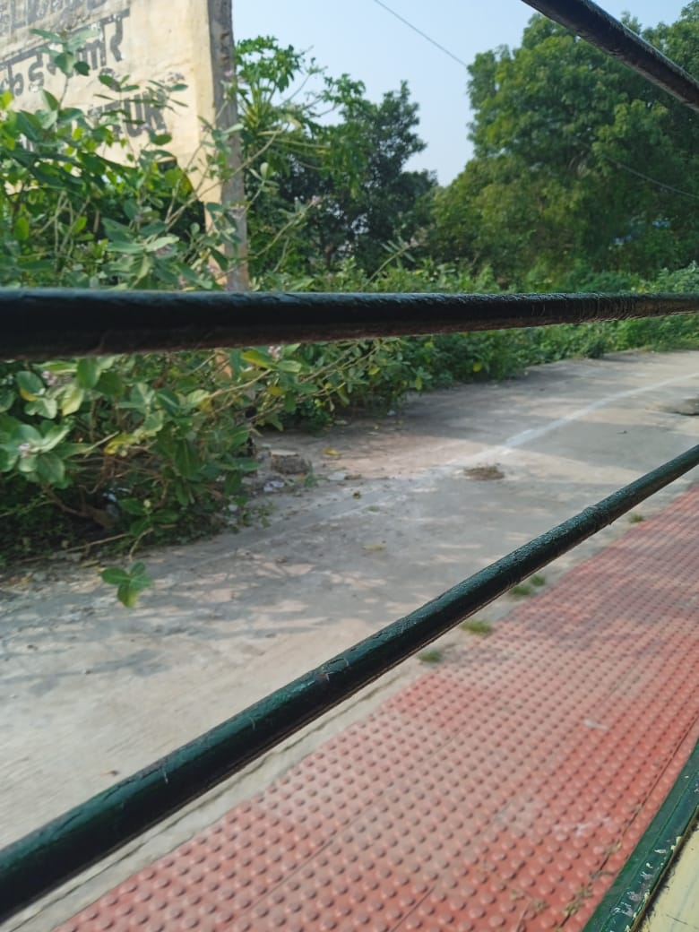 புதர்போல் காட்சியளிக்கும் நடைமேடை