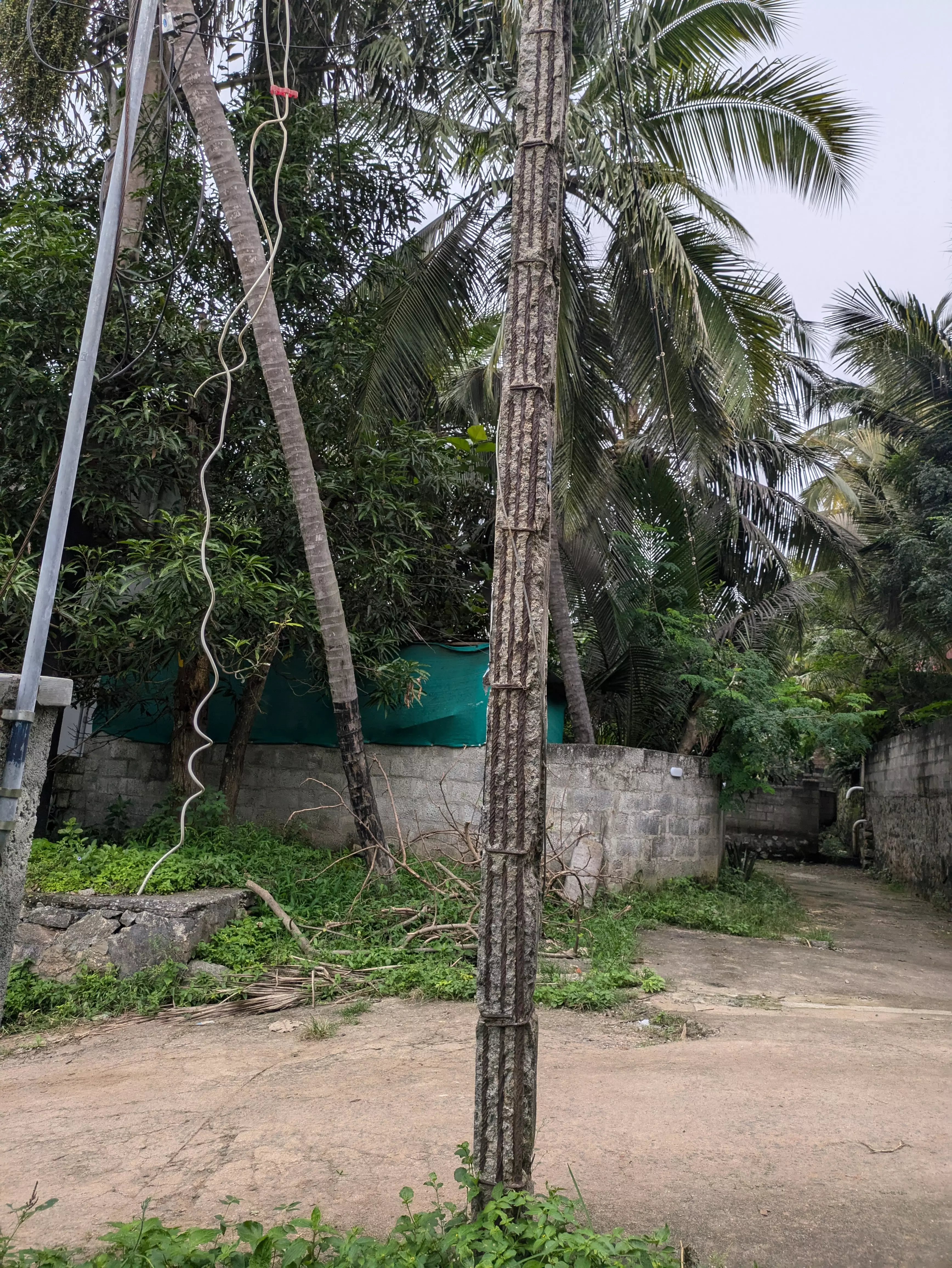 சேதமடைந்த மின்கம்பம்