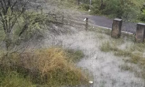 தேங்கி கிடக்கும் மழைநீர் தேங்கி கிடக்கும் மழைநீர்