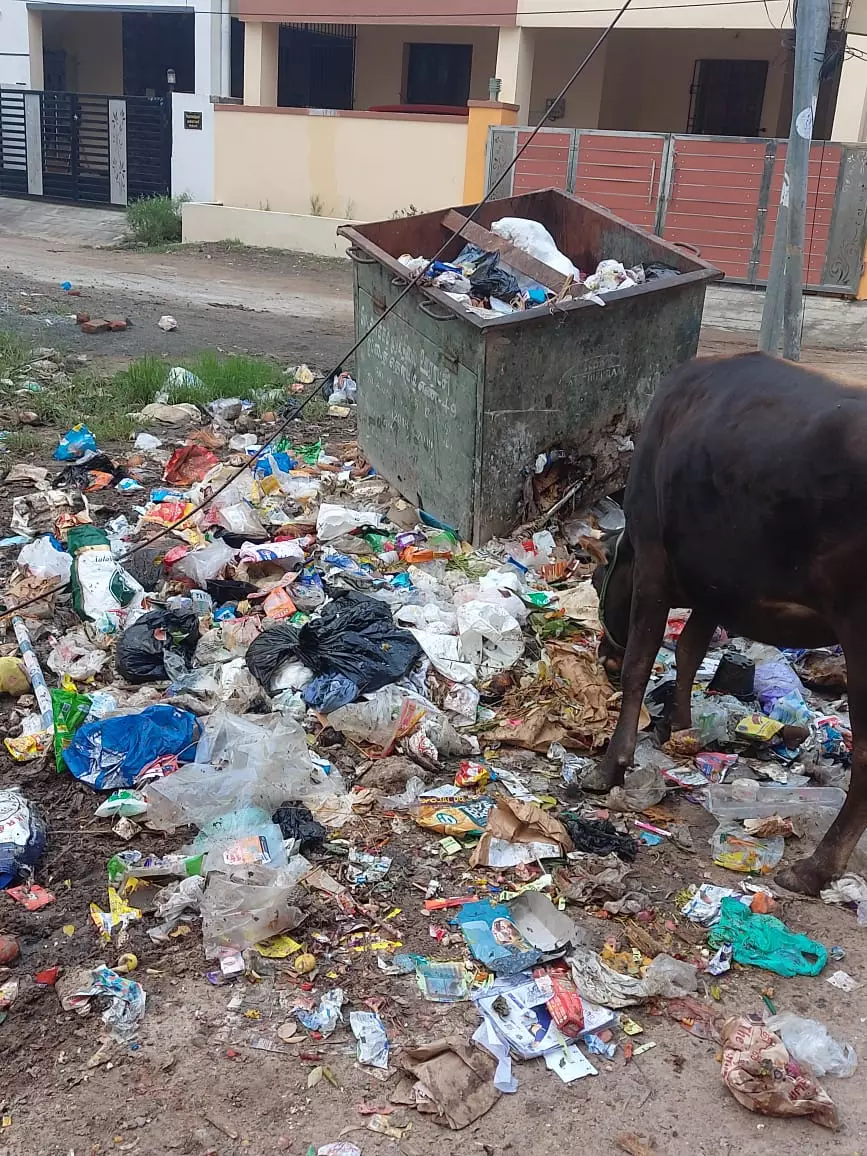 அகற்றப்படாத குப்பைகள் அகற்றப்படாத குப்பைகள்