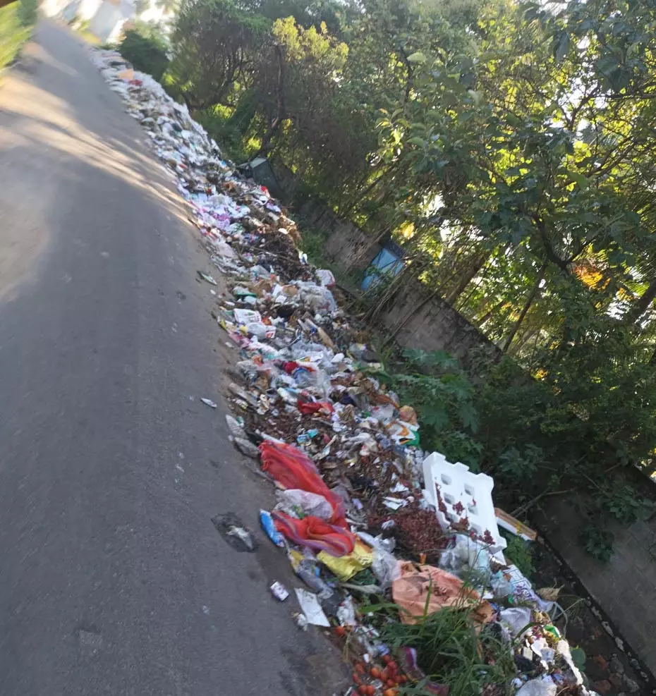 குவிந்து கிடக்கும் குப்பைகள் குவிந்து கிடக்கும் குப்பைகள்