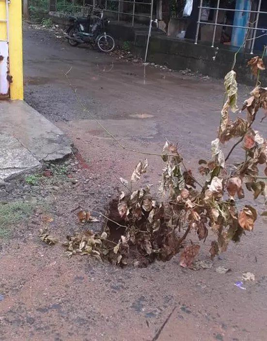 கால்வாய் சேதம்