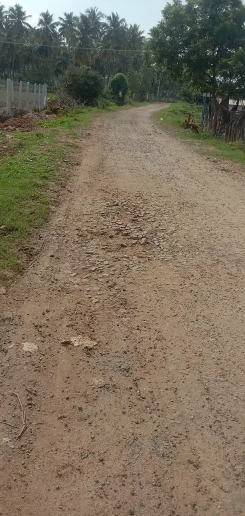 சேதமடைந்த சாலை