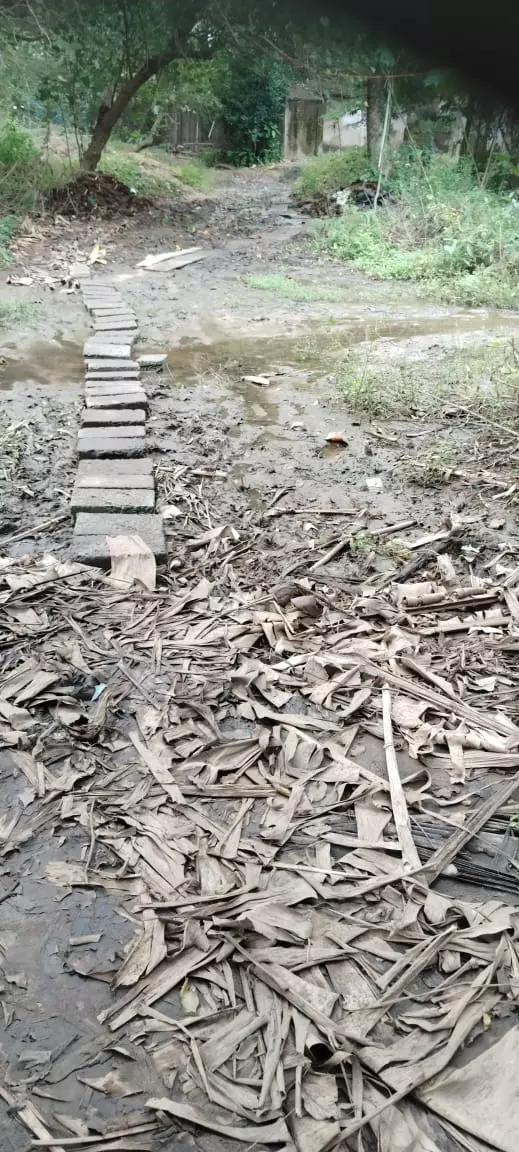 சாலை வசதி வேண்டும்