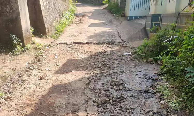 நடவடிக்கை தேவை நடவடிக்கை தேவை